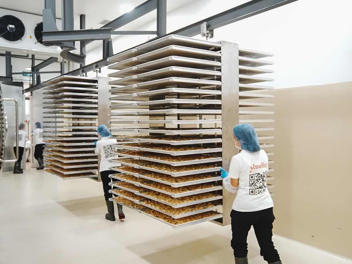 Tray trolleys in front of the freeze-drying chambers